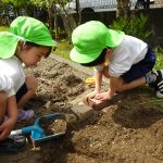 幼虫を見つけて中断(^_^;)の様子