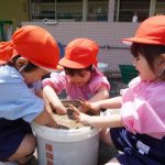 わあ～どろがついた～と年少組の様子