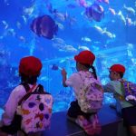 みてみて！たくさん魚が泳いでる?の様子