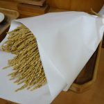 稲束にしたら…の様子