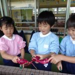 お芋で握手~♪の様子