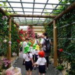 ばら園に到着!の様子