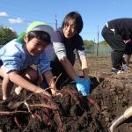 お芋ほり開始♪の様子