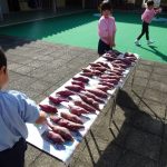 お日さまパワーであま～くな～れ！の様子