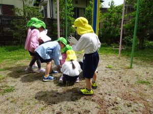 ナズナはどれ?これかな?の様子