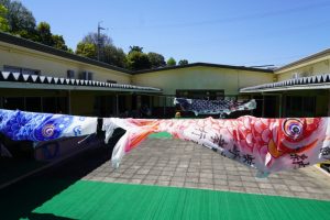 本日、鯉のぼりレストランオープンで~す!の様子