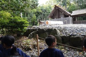 先日の御木曳初式で「エンヤエンヤ!」と運ばれてきた大きな木も見つけましたの様子
