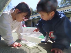 カメにご飯をあげたり(o^^o)の様子