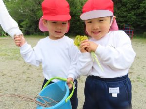 園庭でかわいいお花を摘んで…の様子