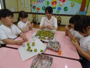 園長先生に教えてもらって梅のおへそのヘタ取りに挑戦！の様子