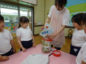 大きな瓶に梅と氷砂糖を入れて毎日かきまぜ…の様子