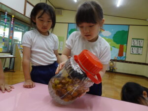 おいしくなあれ…楽しみだね(^^)の様子