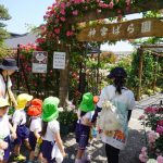 ばら園に到着！バラの門をくぐって中へ♪何色が咲いているのかな？の様子
