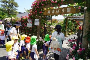 ばら園に到着!バラの門をくぐって中へ♪何色が咲いているのかな?の様子