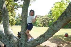 木登りをしたりの様子