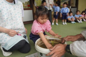 年少組は『あゆみもち』を植えましたの様子