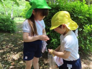 木の実を拾ったりお友だちともいっぱい遊びました!の様子