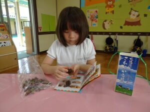 これは、クヌギかな?の様子
