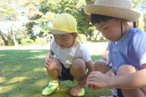 木の実をたくさん拾ったりの様子